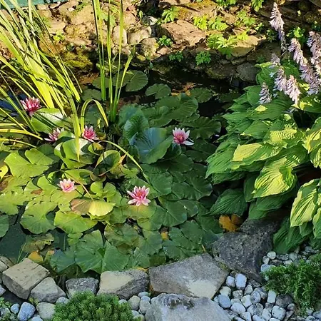 Chalet Chata Sofia *